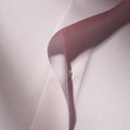 _mg_3014_pa1-3_small